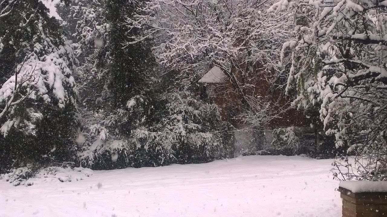 Paisaje con nieve bajita